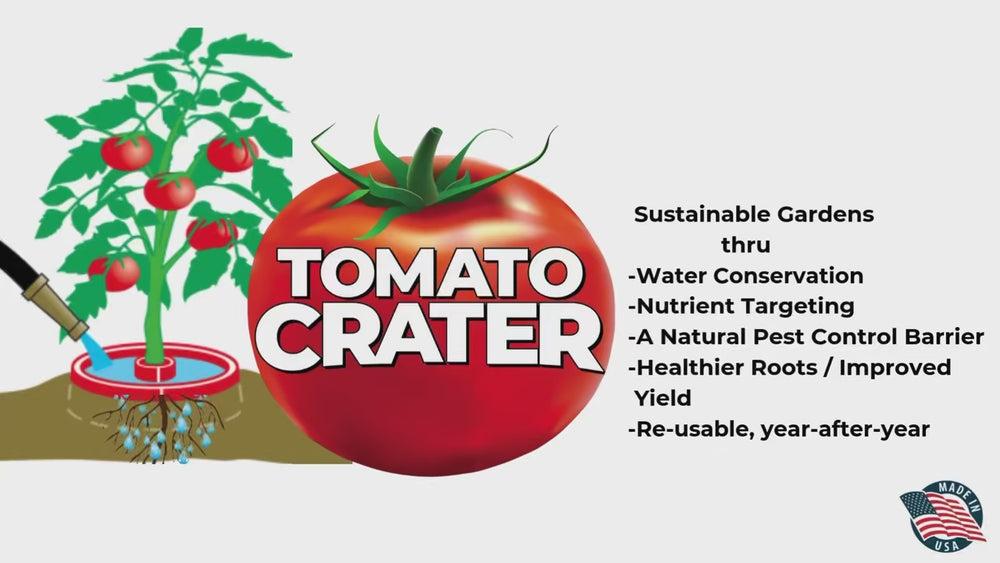 
            
                Load and play video in Gallery viewer, Tomato Crater Vegetable Garden Watering Tray, Directs Water to Roots, Warms Soil, Reduces Pests and Insecticides, Improves Tomato Growth for Healthy, Productive Plants, Provides Natural Barrier, BPA-Free – 12” Red
            
        